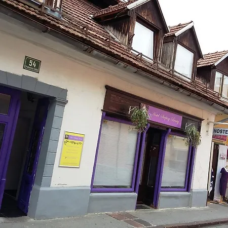 슬리핑 뷰티 호스텔